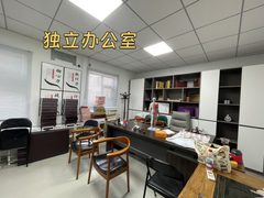 双桥DREAM 2049 | 独栋庭院 | 历史建筑？ - 缩略图 9