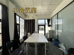 双桥DREAM 2049 | 独栋庭院 | 历史建筑？ - 缩略图 16