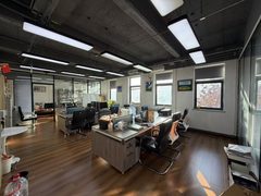 双桥DREAM 2049 132平精装地铁旁 - 缩略图 6