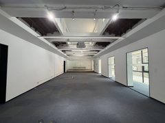 双桥DREAM 2049 480平 独栋南北通透 独立庭院 - 缩略图 6