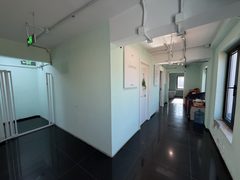 双桥DREAM 2049 2000平独栋 双通线 独院露台 - 缩略图 11