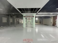 双桥DREAM 2049 2000平独栋 双通线 独院露台 - 缩略图 8