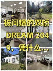 被问爆的双桥DREAM 2049，凭什么火？ - 缩略图 1