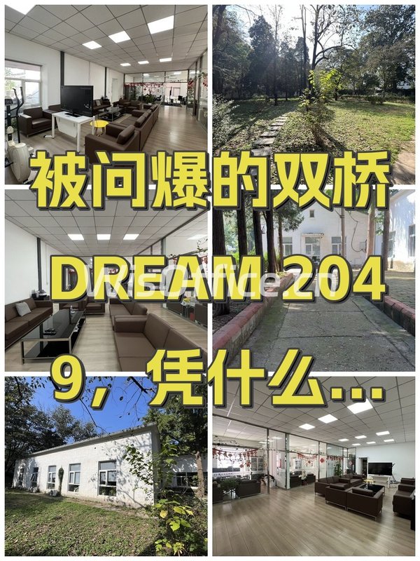 被问爆的双桥DREAM 2049，凭什么火？ - 首图