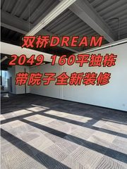双桥DREAM 2049 160平独栋 南北通透 全新装修 - 缩略图 1