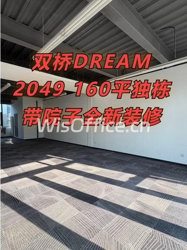 双桥DREAM 2049 160平独栋 南北通透 全新装修 - 首图