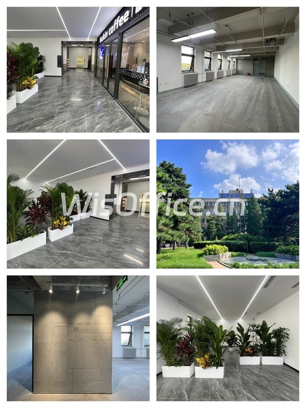 初创团队怕押三付一怎么办 - 首图