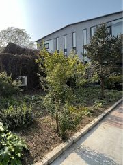 真房｜双桥DREAM 2049文创园 |170平｜4.2元 - 缩略图 1