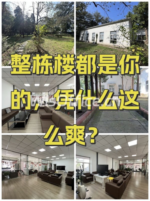 整栋楼都是你的，凭什么这么爽？ - 首图