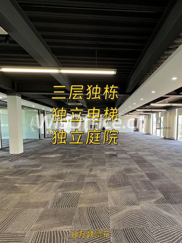 双桥DREAM 2049文创园 2055平 独栋精装 1号线 - 首图