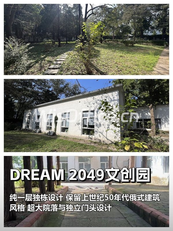 双桥文创园 280平 独栋院落 三面采光 - 首图