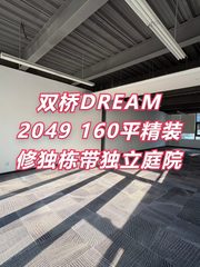 双桥DREAM 2049 160平独栋庭院 - 缩略图 1