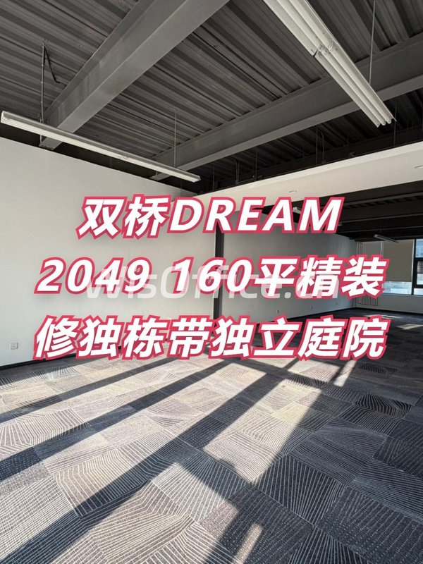 双桥DREAM 2049 160平独栋庭院 - 首图