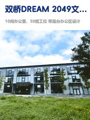 带猫上班能被接受？双桥DREAM 2049啥体验 - 缩略图 1