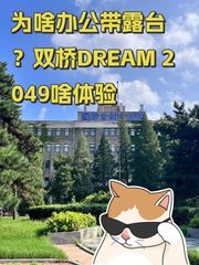 为啥办公带露台？双桥DREAM 2049啥体验 - 缩略图 1