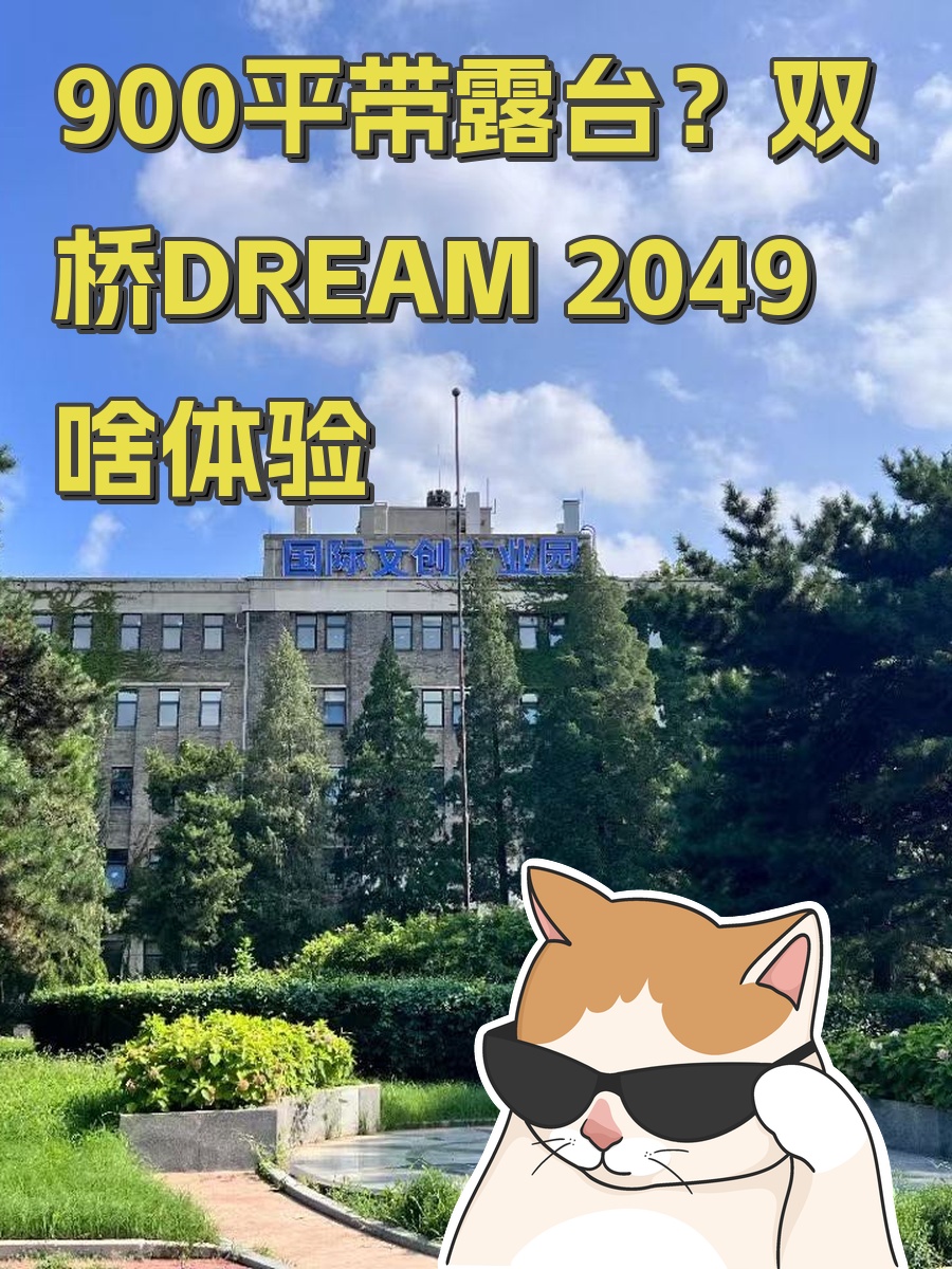900平带露台？双桥DREAM 2049啥体验