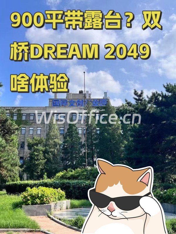 900平带露台？双桥DREAM 2049啥体验 - 首图