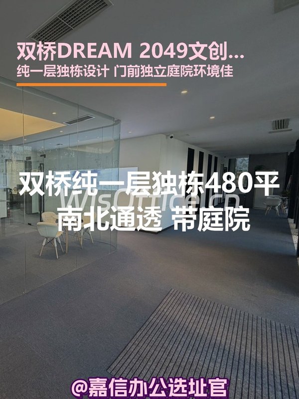 双桥DREAM 2049 独栋480平 南北通透 带庭院 - 首图