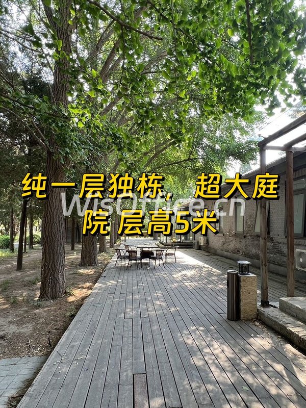 双桥DREAM 2049 550平 纯独栋 - 首图