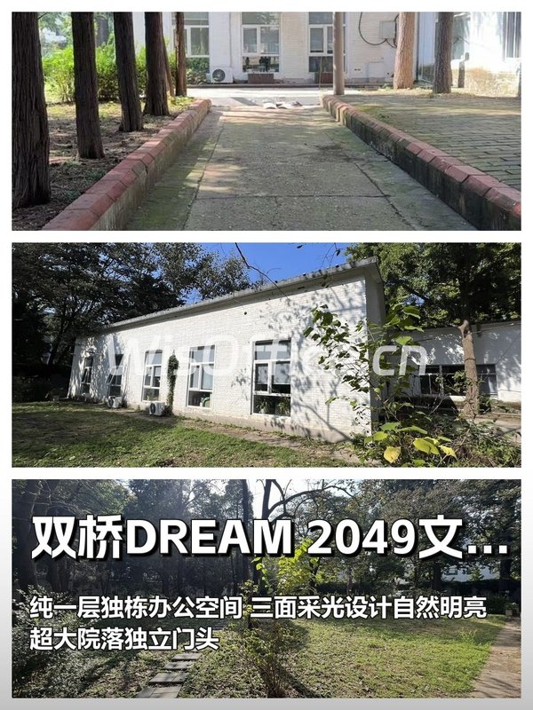 双桥文创园280平 纯一层独栋 三面采光 - 首图