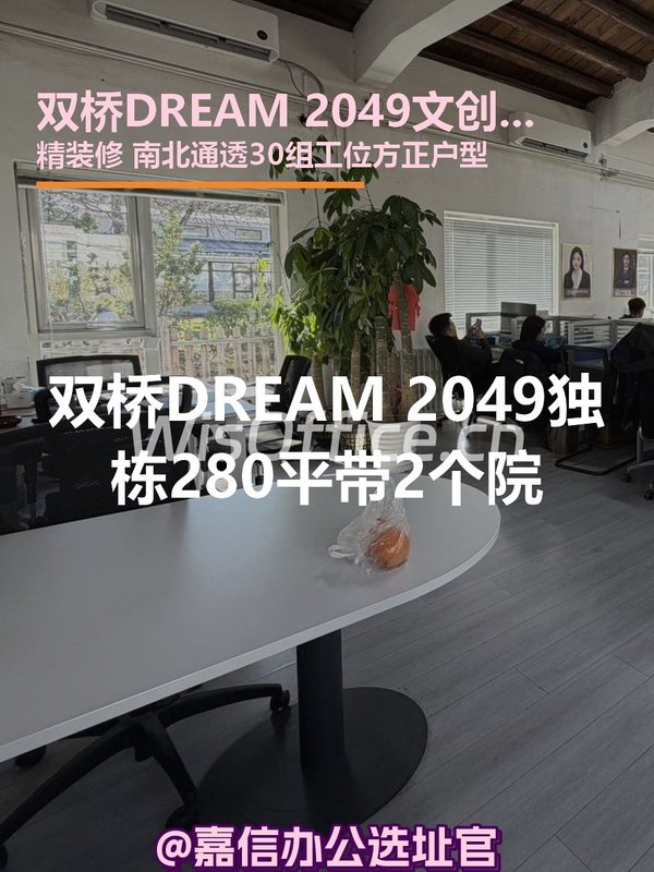 双桥DREAM 2049独栋280平带院 - 首图