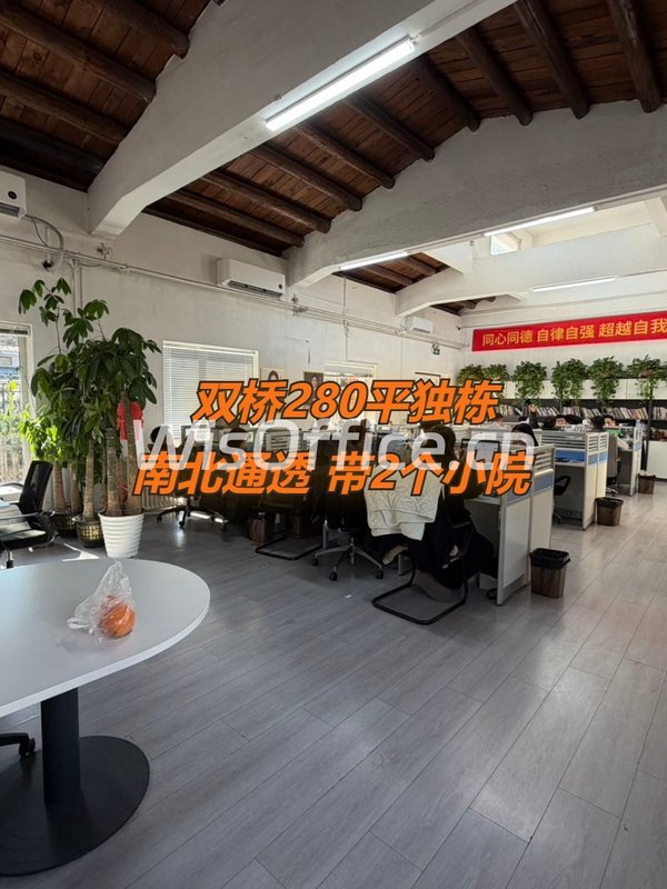 双桥DREAM 2049 280平独栋南北通透 - 首图