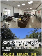 双桥DREAM 2049 280平 独栋独卫 - 缩略图 1
