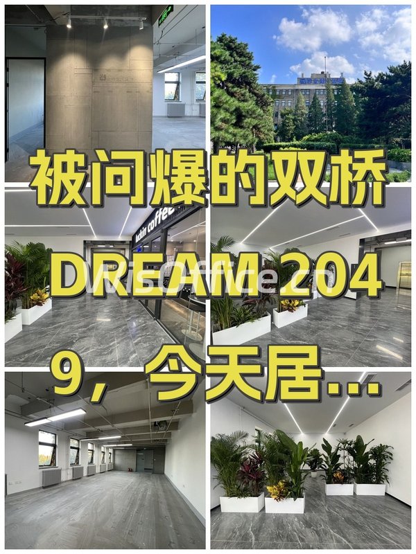 被问爆的双桥DREAM 2049，今天居然。。！ - 首图