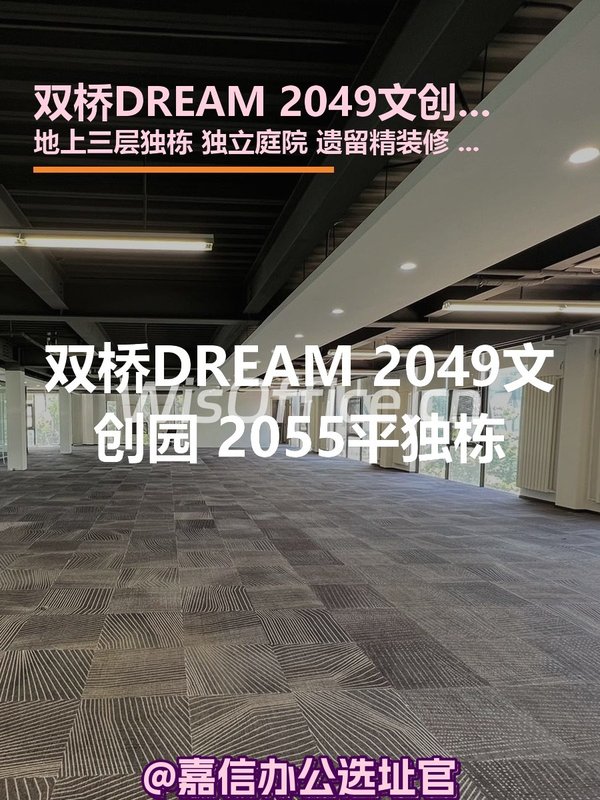 双桥DREAM 2049文创园 2055平独栋 - 首图