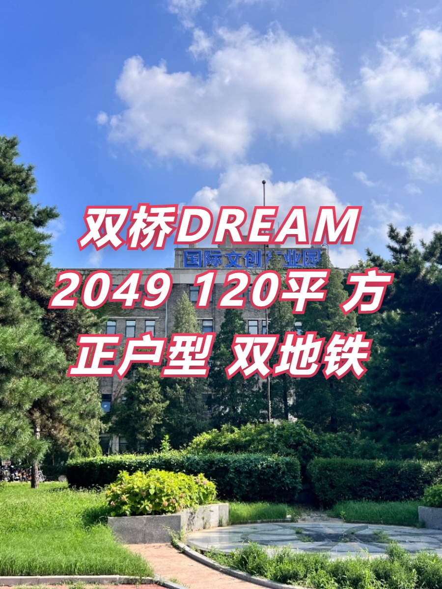 双桥DREAM 2049 120平 方正户型 双地铁