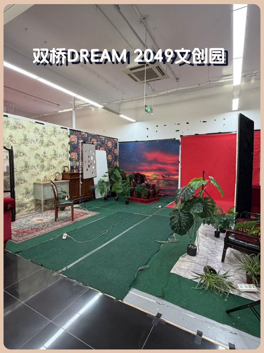 双桥DREAM 2049 2000平独栋 双通线 独院露台