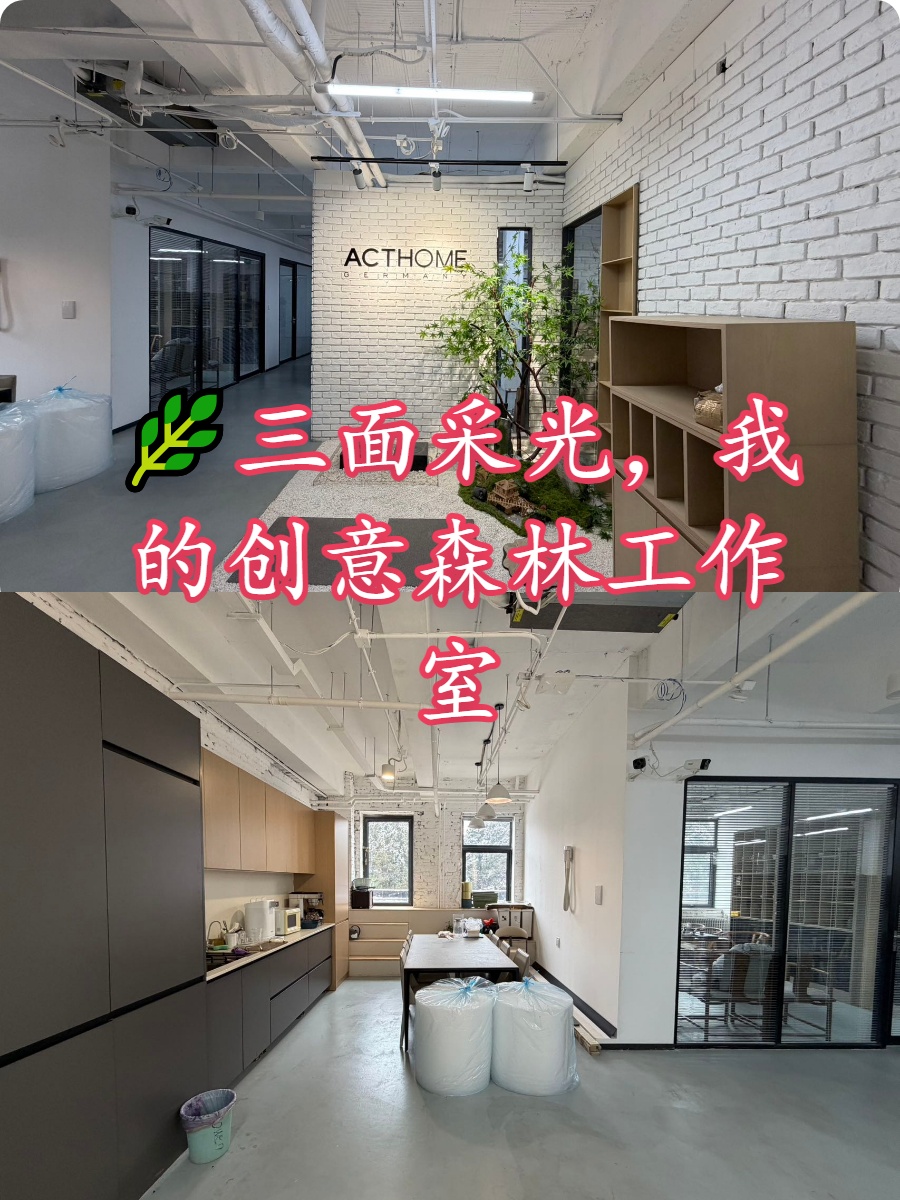 🌿三面采光，我的创意森林工作室