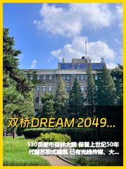 双桥DREAM 2049让我心动了 - 缩略图 1