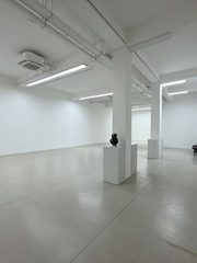 双桥独栋650平展厅装修带庭院 - 缩略图 7