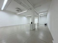 双桥独栋650平展厅装修带庭院 - 缩略图 19