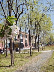 双桥产业园460平南北通透 新装修双地铁 - 缩略图 4