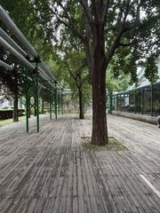 双桥独栋550平带超大庭院 - 缩略图 4