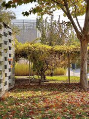 传媒大学旁172平 工业风创意空间 - 缩略图 15