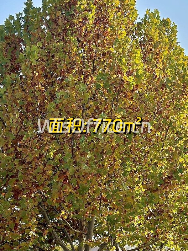 艺术园区770㎡创意空间 - 首图