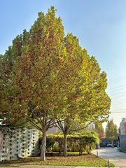 传媒大学旁770平创意空间 - 缩略图 17