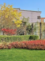 传媒大学旁吉里国际艺术区338平 高层高 - 缩略图 14