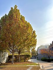 传媒大学现房 吉里国际艺术区525平 班车接送 - 缩略图 17