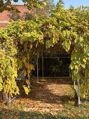 吉里国际艺术区338平创意空间 - 缩略图 22