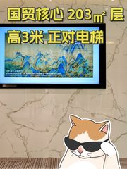 国贸核心 203㎡ 层高3米 正对电梯 - 缩略图 1