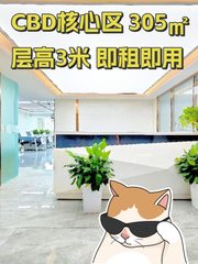 CBD核心区 305㎡ 层高3米 即租即用 - 缩略图 1