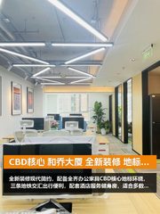 CBD核心 和乔大厦 全新装修 地标环绕 - 缩略图 1