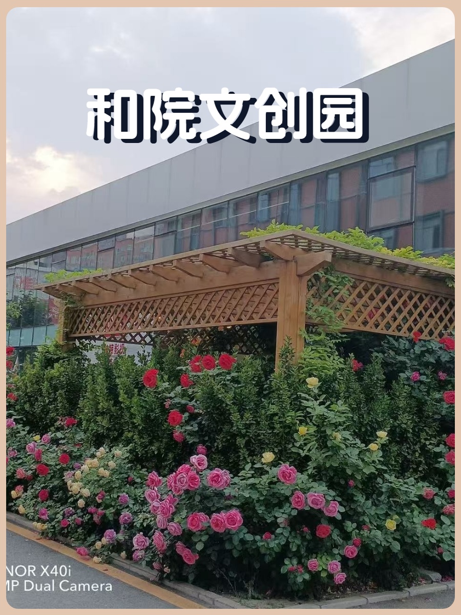 朝阳大悦城117平 精装独栋 双地铁