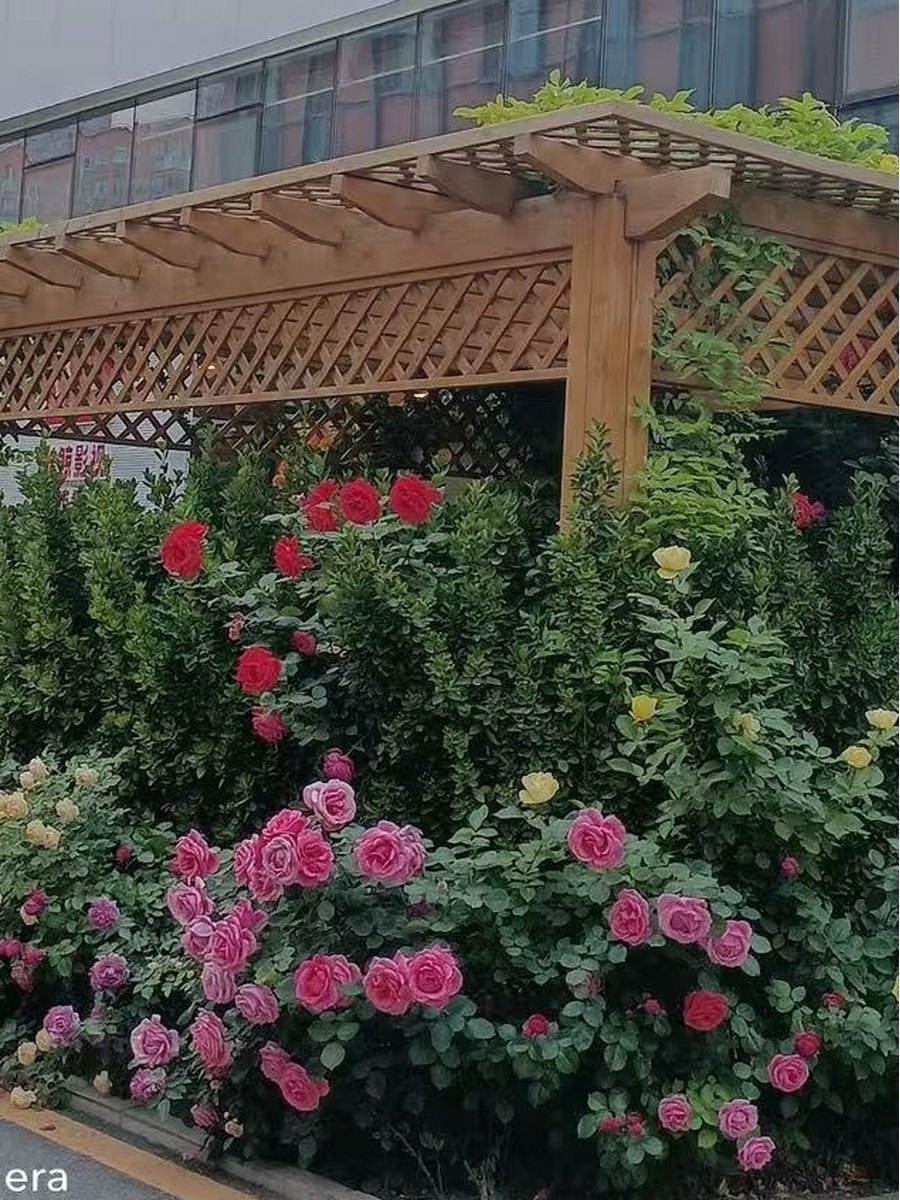 117㎡高挑空精装，价格可谈有车位