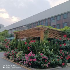 青年路现房 和院文创园 双地铁 遗留精装 - 缩略图 6