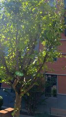 青年路现房 和院文创园 双地铁 遗留精装 - 缩略图 7